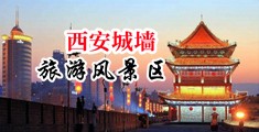 把老骚货日的高潮视频中国陕西-西安城墙旅游风景区